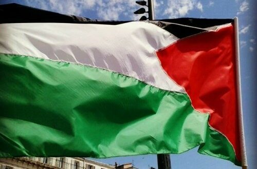 Article : Manifestation à Marseille : «Nous sommes tous des Palestiniens !»